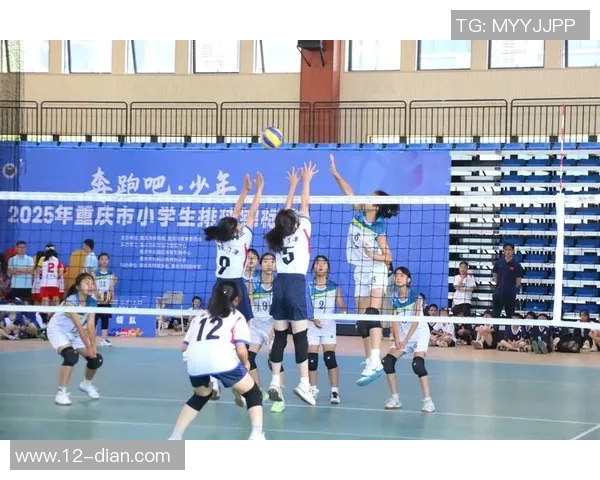 重庆排球队快攻战术解析与深度剖析全方位解读排球魅力与技巧